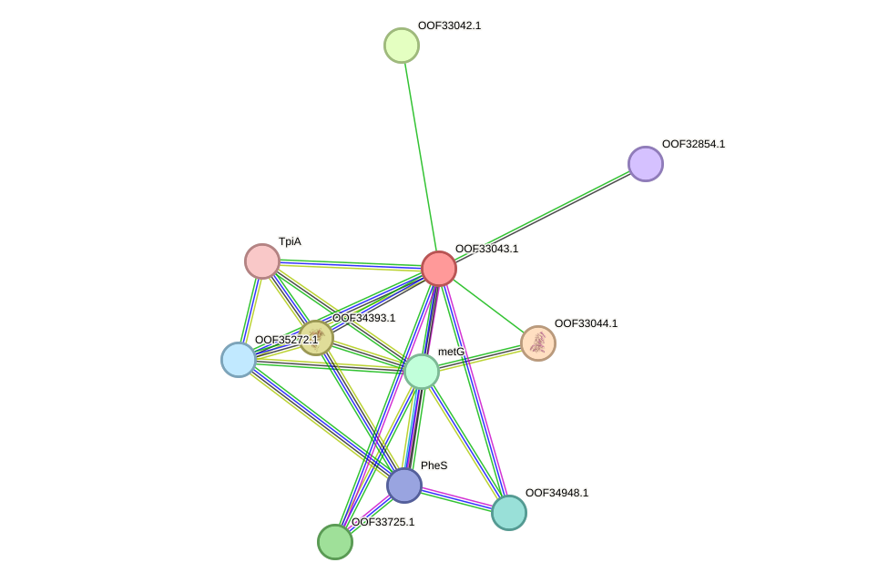 STRING protein interaction network