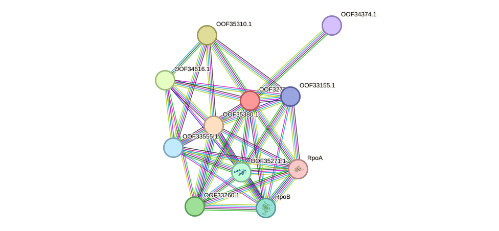 STRING protein interaction network