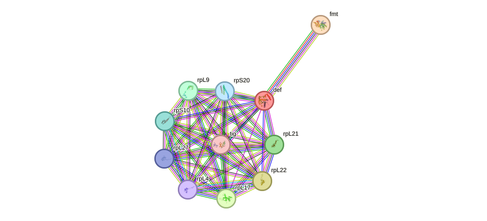 STRING protein interaction network