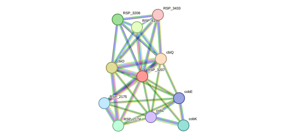 STRING protein interaction network