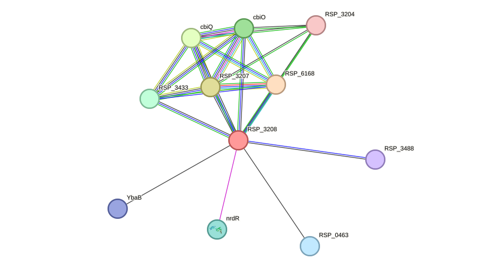 STRING protein interaction network