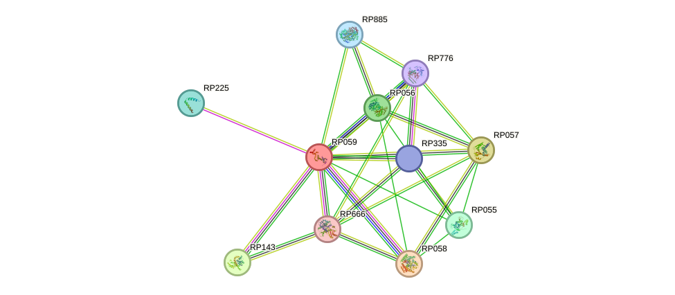 STRING protein interaction network