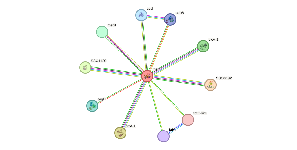STRING protein interaction network