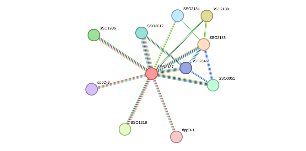 STRING protein interaction network