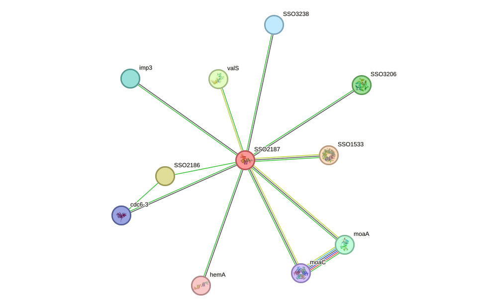 STRING protein interaction network