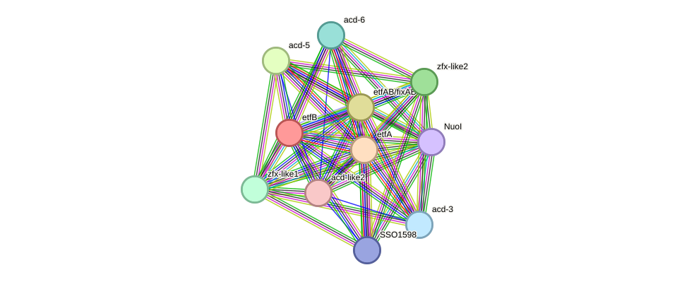 STRING protein interaction network