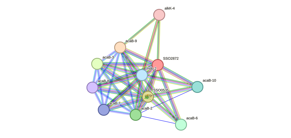 STRING protein interaction network