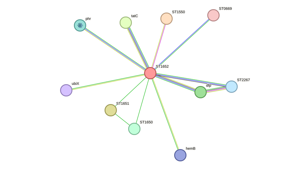 STRING protein interaction network