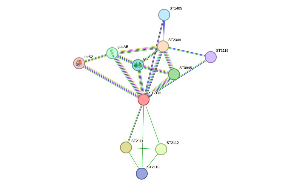 STRING protein interaction network