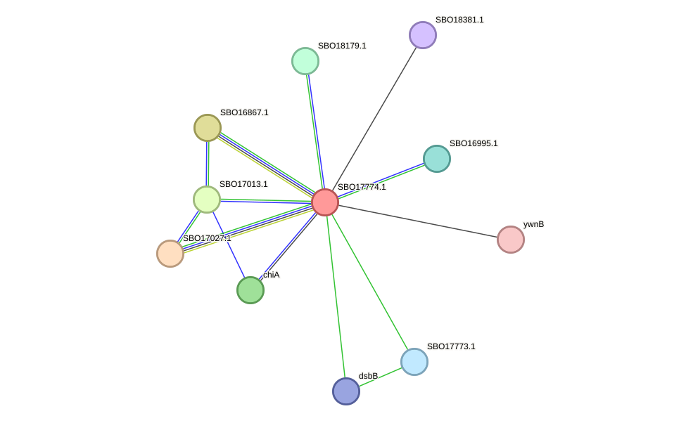 STRING protein interaction network