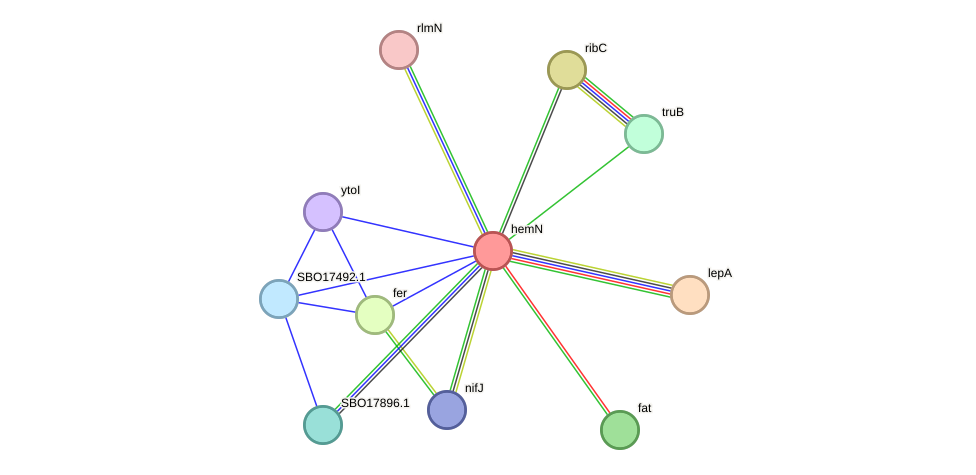 STRING protein interaction network