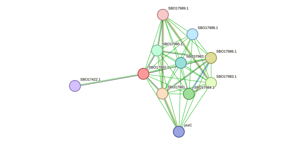 STRING protein interaction network