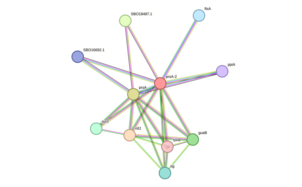STRING protein interaction network