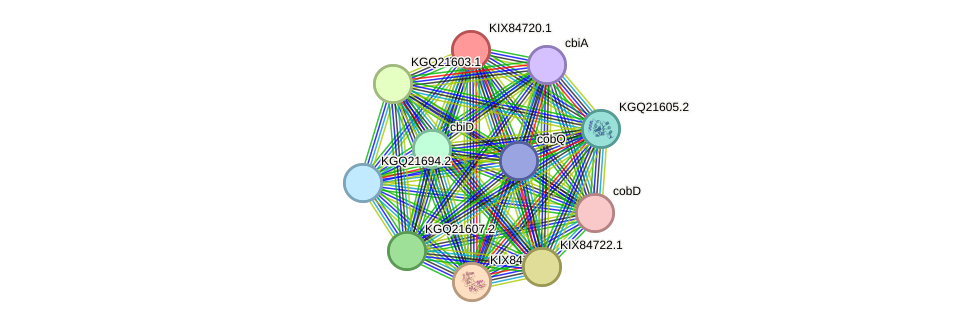 STRING protein interaction network