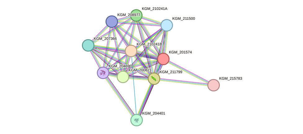 STRING protein interaction network