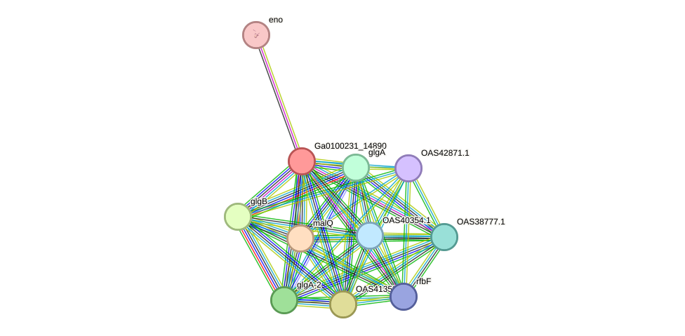 STRING protein interaction network