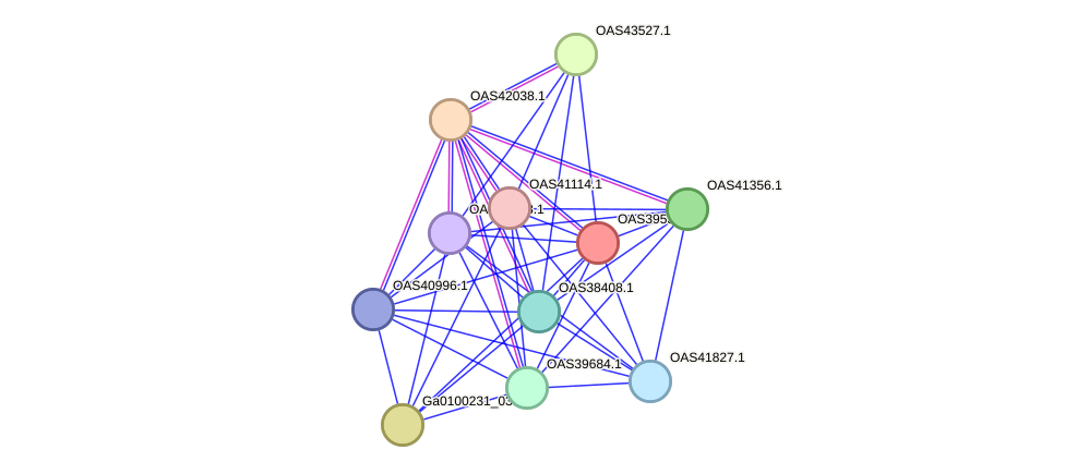 STRING protein interaction network