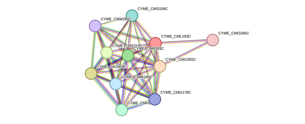 STRING protein interaction network