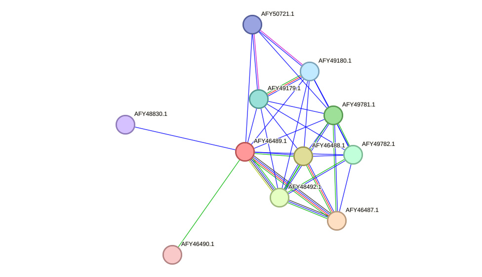 STRING protein interaction network