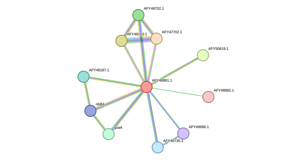 STRING protein interaction network