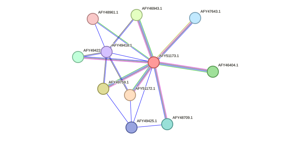 STRING protein interaction network