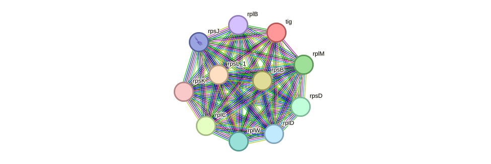 STRING protein interaction network
