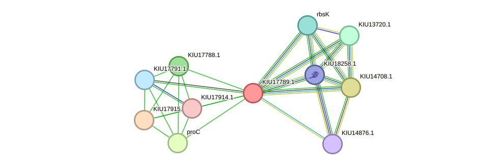 STRING protein interaction network