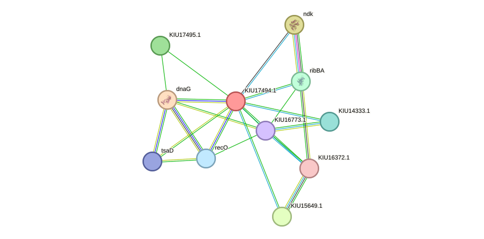 STRING protein interaction network