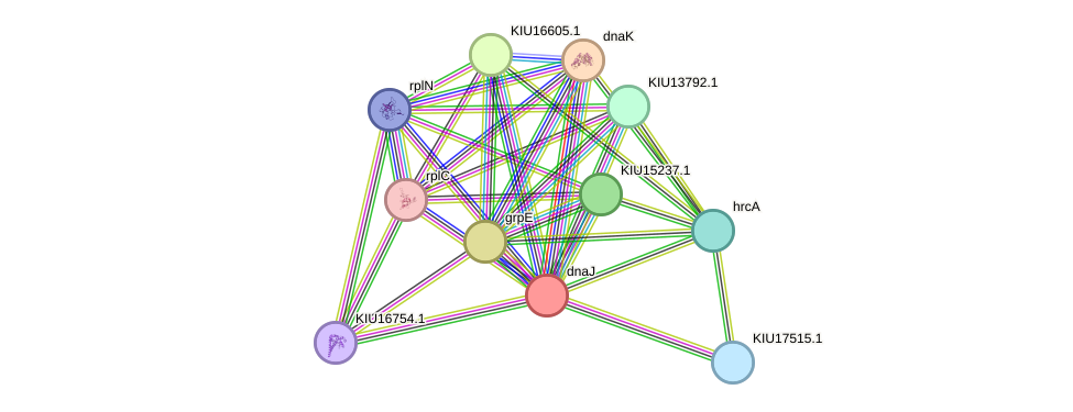 STRING protein interaction network