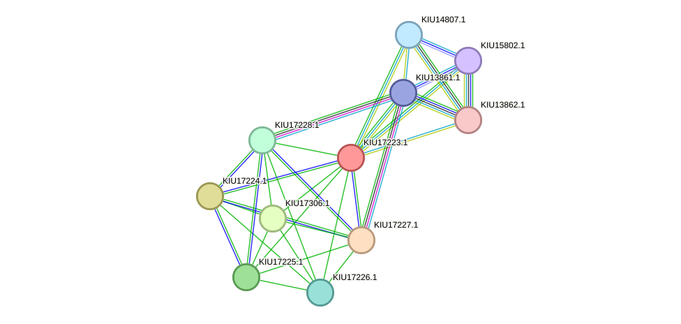 STRING protein interaction network