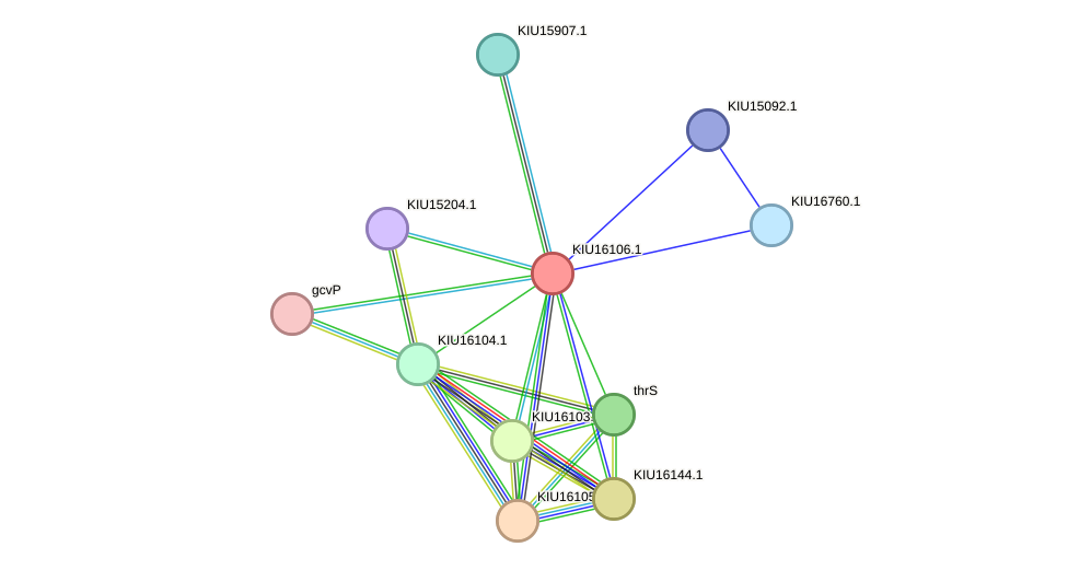 STRING protein interaction network