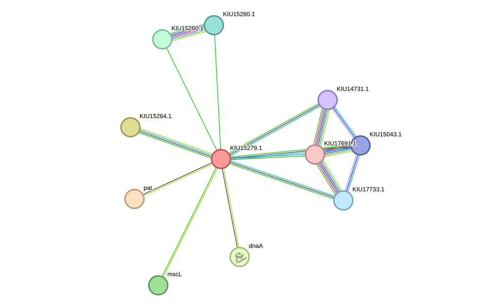 STRING protein interaction network