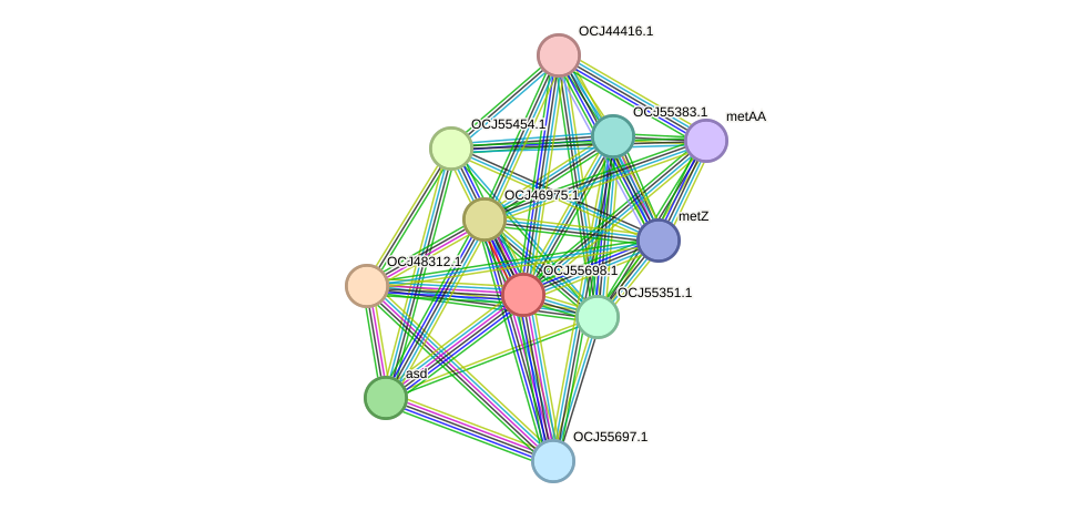 STRING protein interaction network