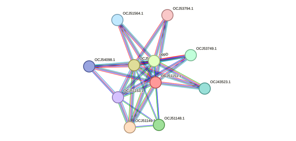 STRING protein interaction network