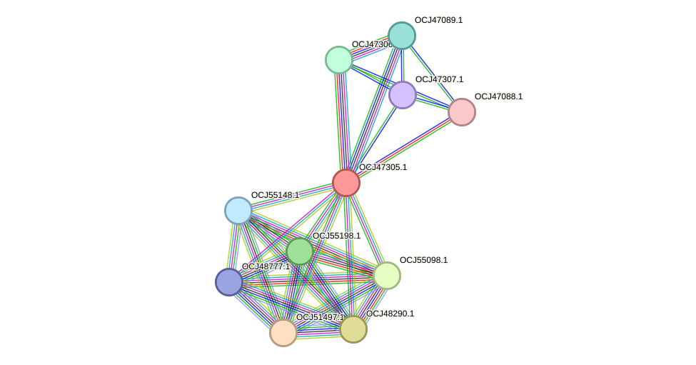 STRING protein interaction network