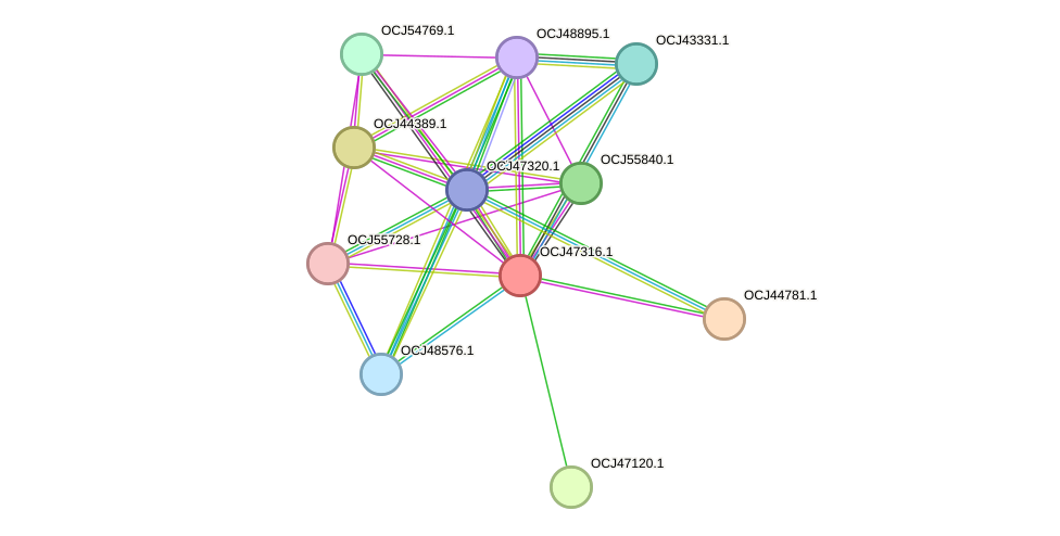 STRING protein interaction network