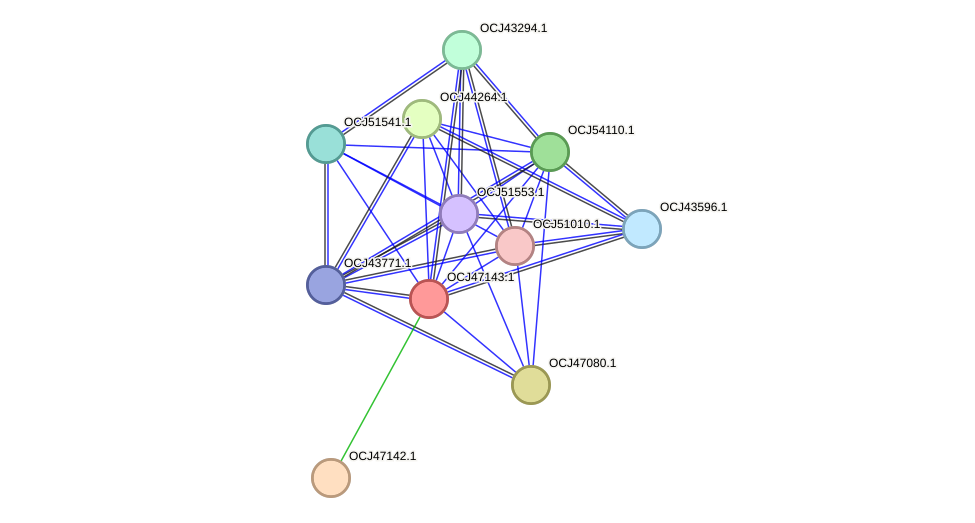 STRING protein interaction network