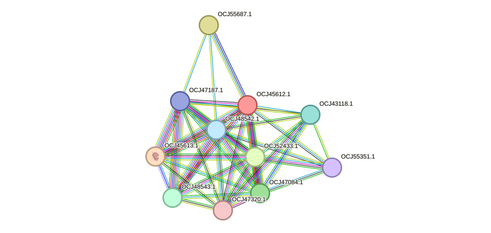 STRING protein interaction network