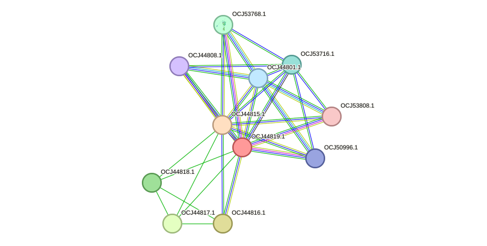 STRING protein interaction network