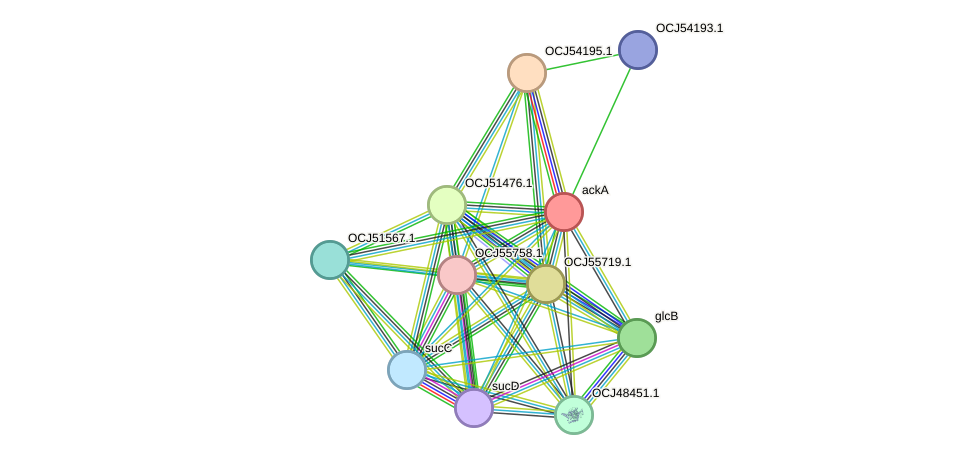 STRING protein interaction network