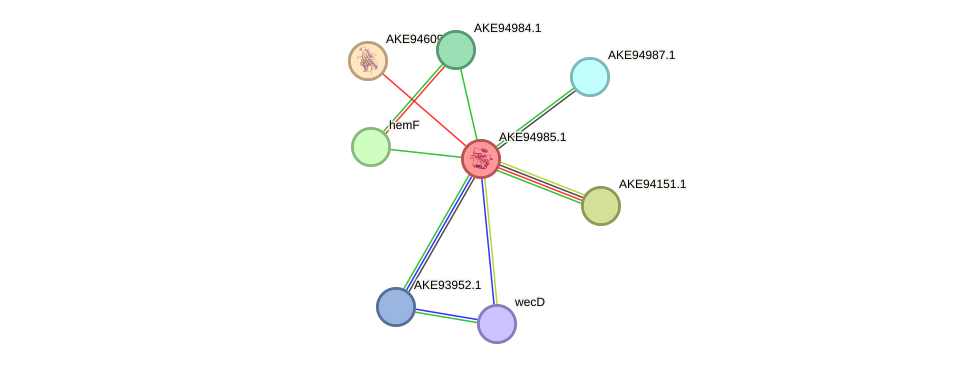 STRING protein interaction network