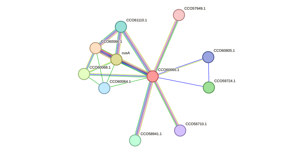 STRING protein interaction network