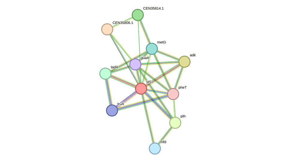 STRING protein interaction network