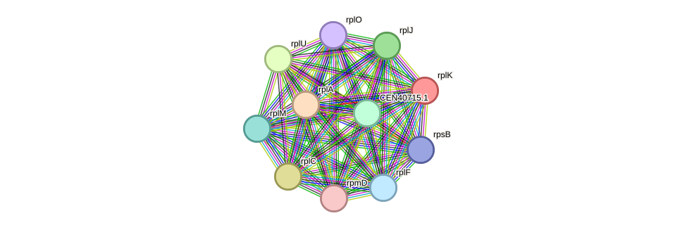 STRING protein interaction network