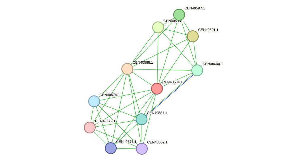 STRING protein interaction network