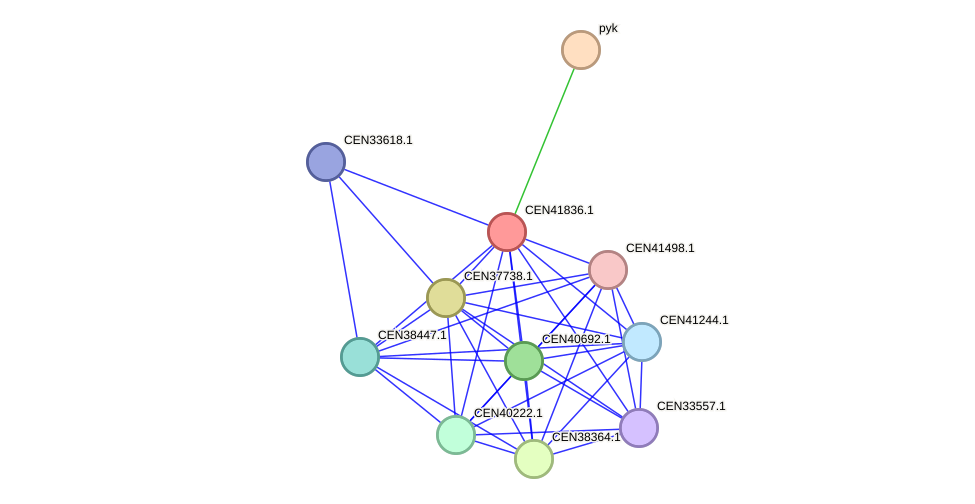 STRING protein interaction network