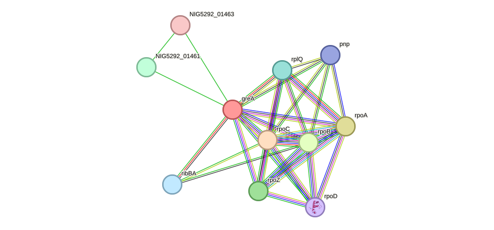 STRING protein interaction network