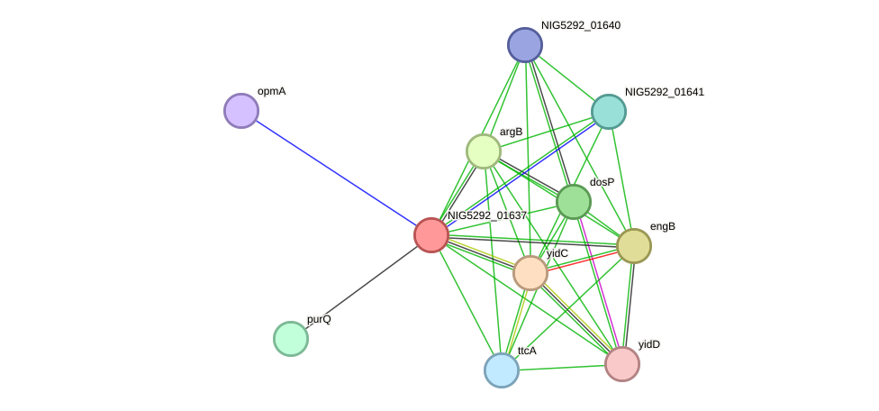 STRING protein interaction network