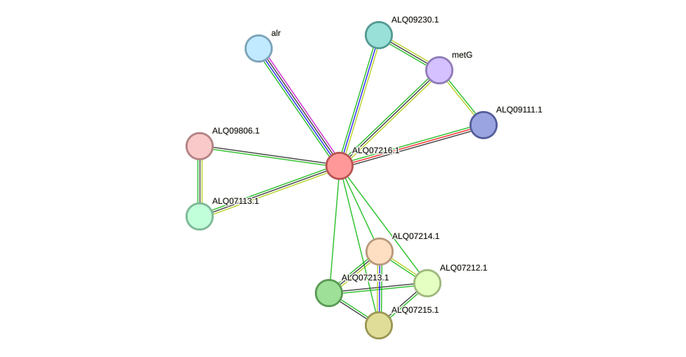 STRING protein interaction network