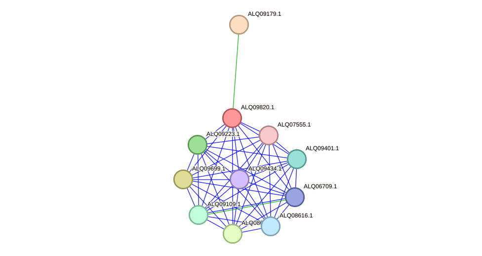 STRING protein interaction network